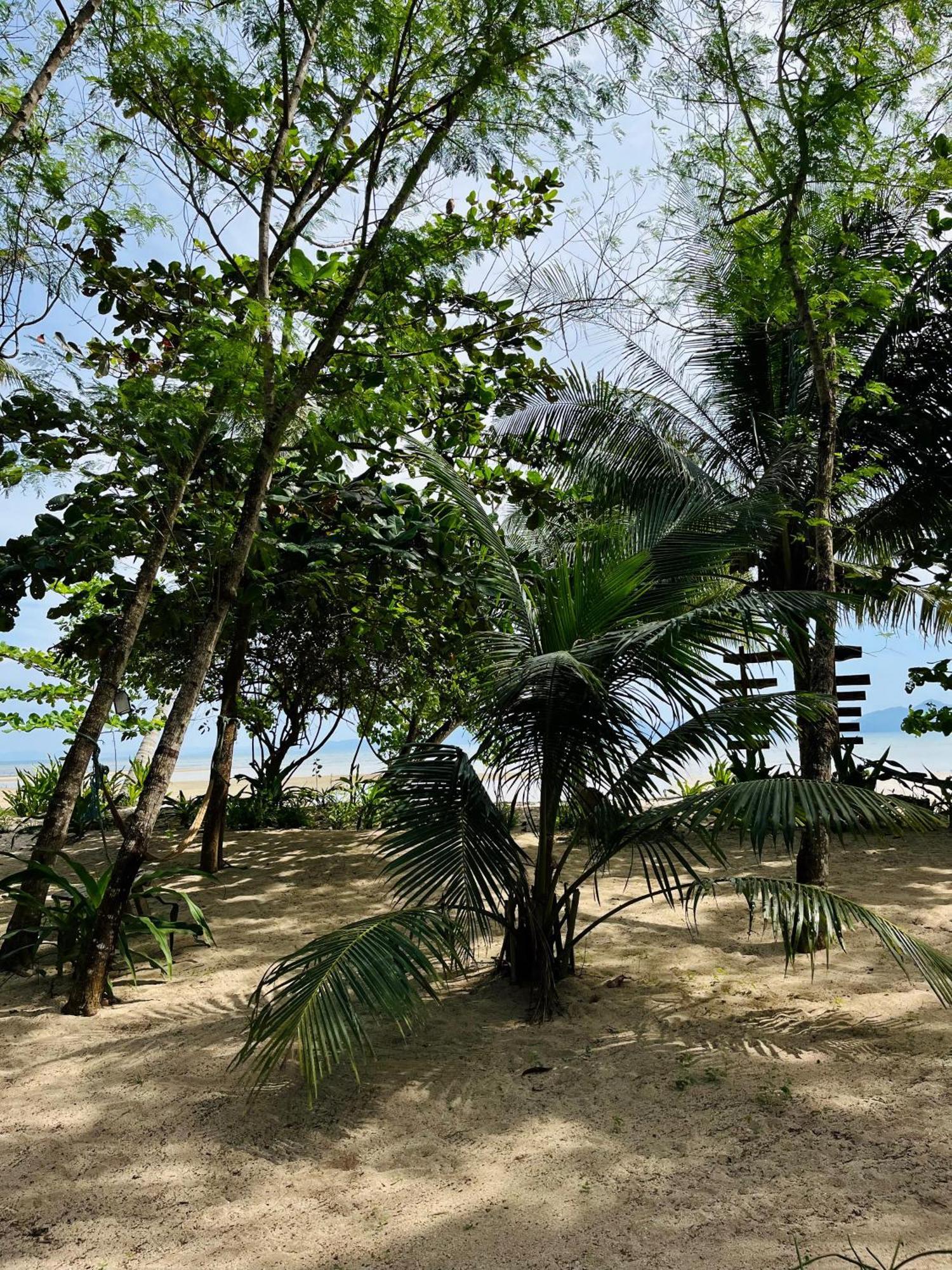Efrena Agro Tourism Beach Ел Нидо Екстериор снимка
