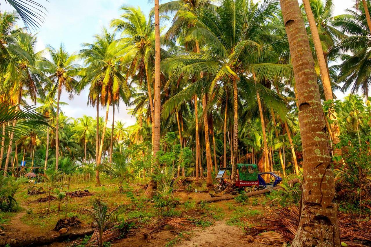 Efrena Agro Tourism Beach Ел Нидо Екстериор снимка